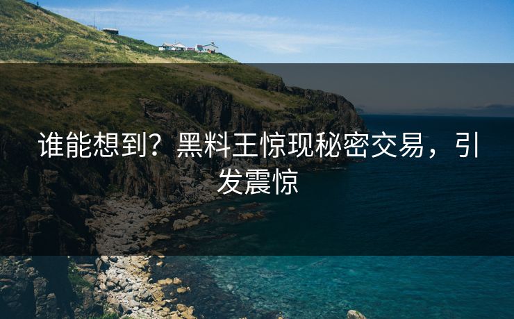 谁能想到？黑料王惊现秘密交易，引发震惊
