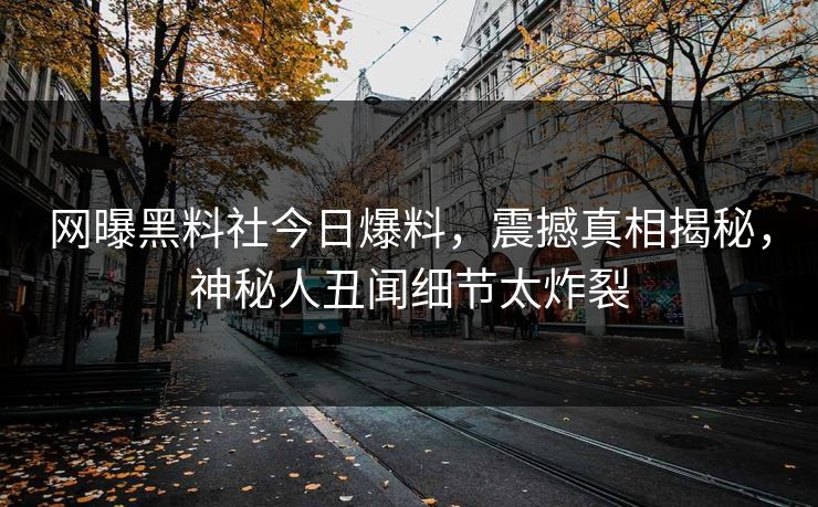 网曝黑料社今日爆料，震撼真相揭秘，神秘人丑闻细节太炸裂